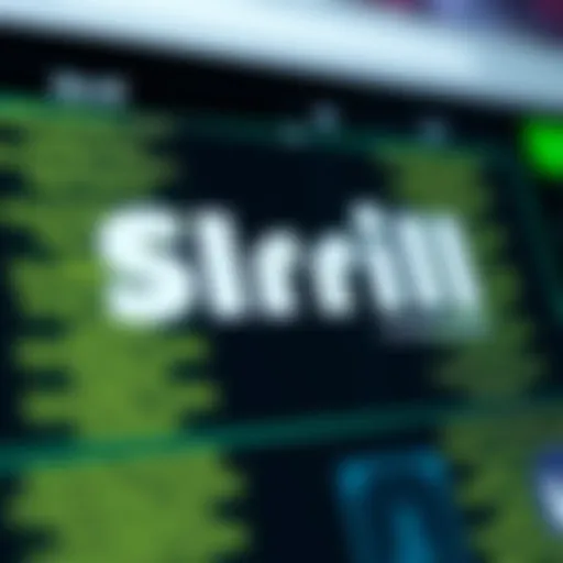 Skrill logo on a digital wallet interface
